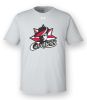 Picture of 1376842 - Under Armour Men's Tech Team T-shirt