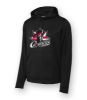 Picture of F244 - Fleece Hooded Pullover