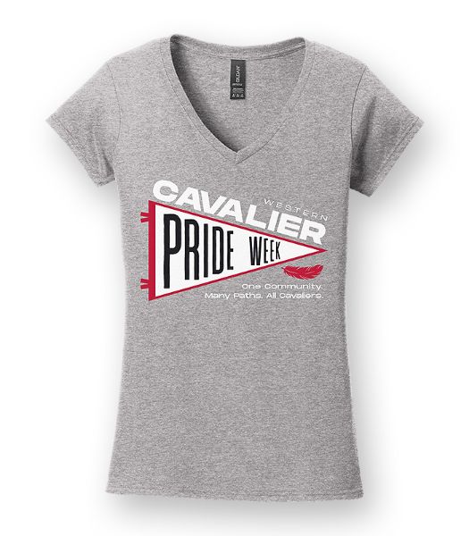 Picture of 64V00L - Ladies' Softstyle V-neck Tee