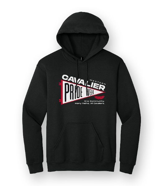 Picture of 18500 - Gildan Heavy Blend Hooded Sweatshirt