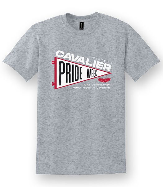 Picture of 8000 - DryBlend 50/50 T-Shirt